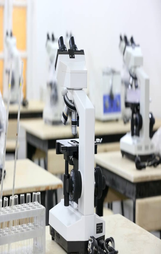 whatsapp image 2026 01 17 at 13.00.02 (1)