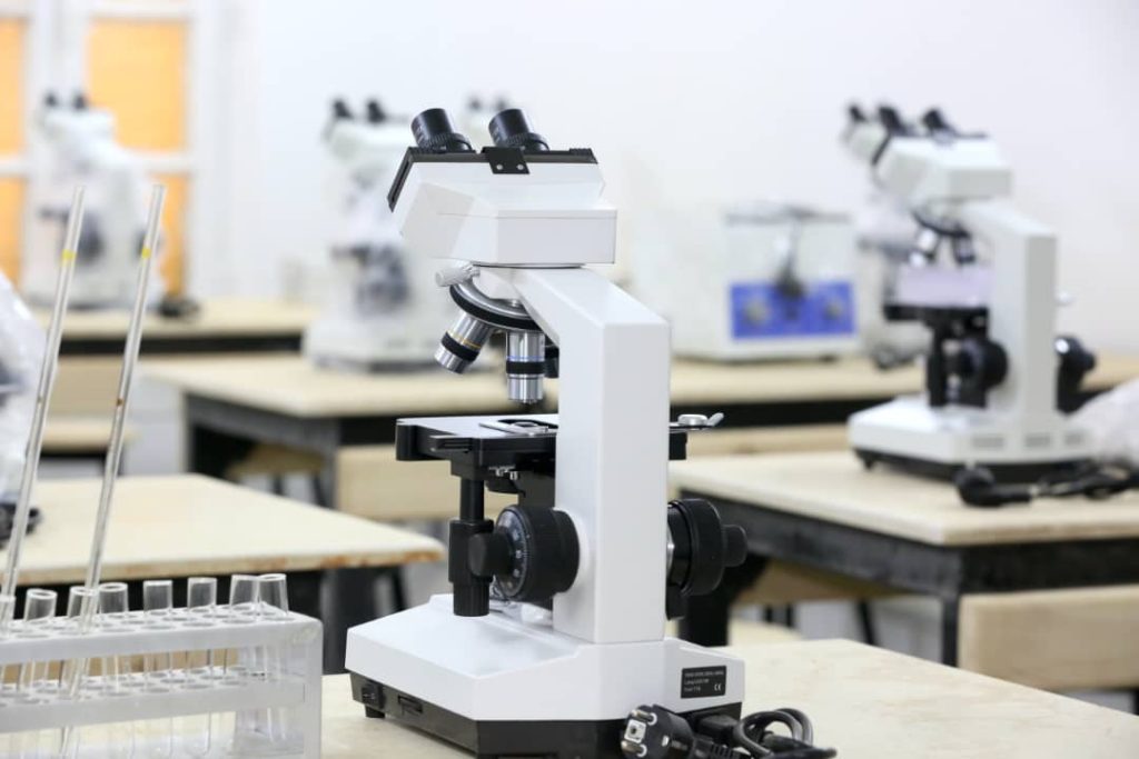 whatsapp image 2026 01 17 at 13.00.02